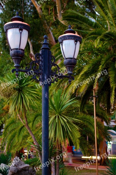 Lantern Palm Trees Landscape Free Photos