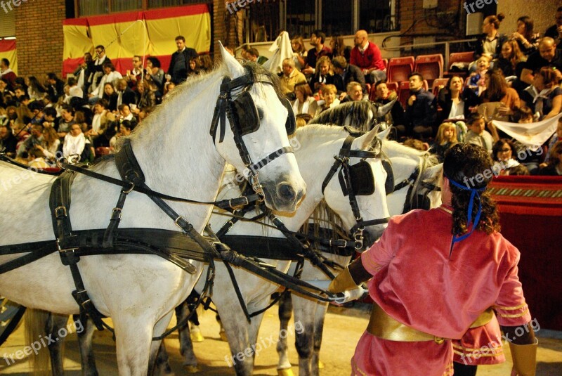 Lorca Andalusian Horses Hitch Parade Free Photos