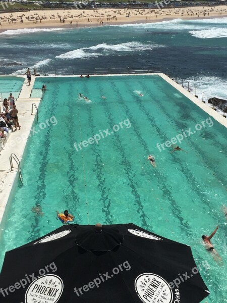 Swimming Pool Ocean Resort Vacation Tropical