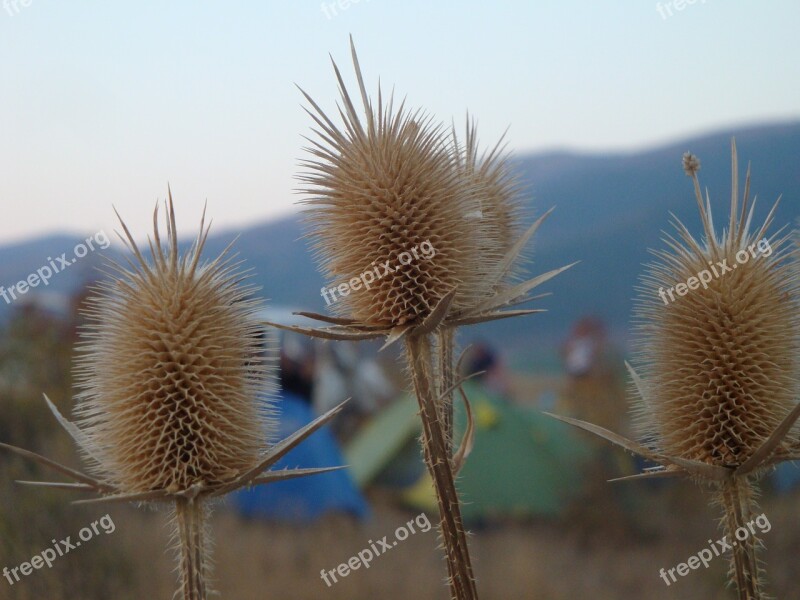 Camping Tents Gelendzhik Mountains Free Photos