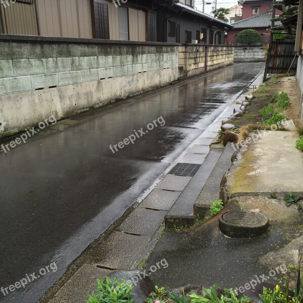 Rainy Rain Alley The Gutter Narrow Road