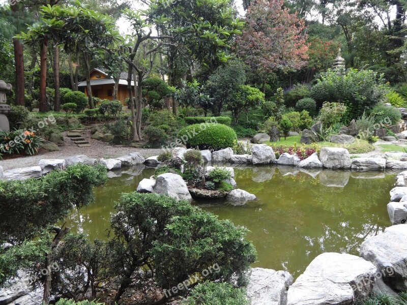 Garden Japanese Pond Free Photos