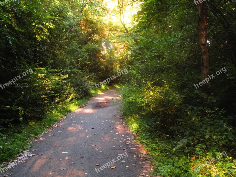 Path Pavement Asphalt Bike Running