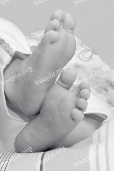 Feet Baby Feet Ten Baby Free Photos