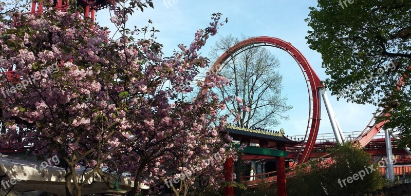 Loop Tivoli Denmark Amusement Amusement-park