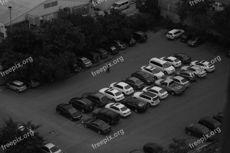 Cars White Black Walk Person