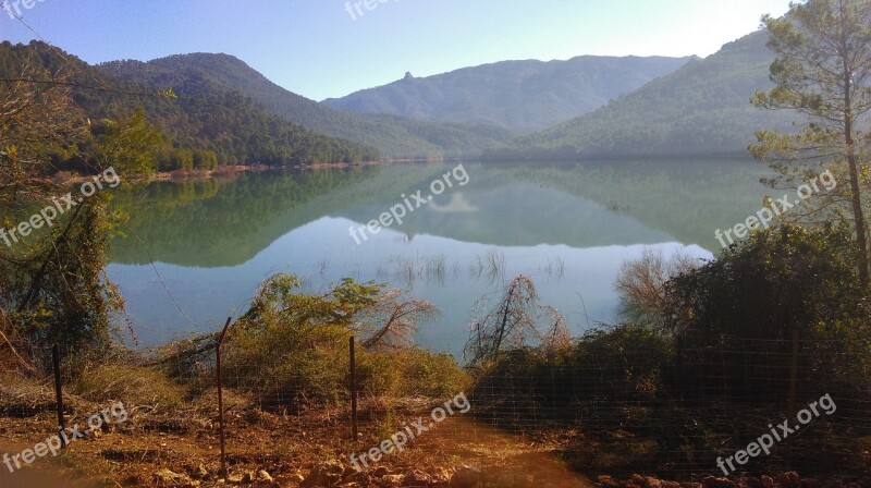 Marsh Nature Del Tranco Reservoir Free Photos