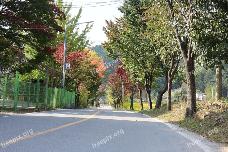 Autumn Street Country Landscape Wood