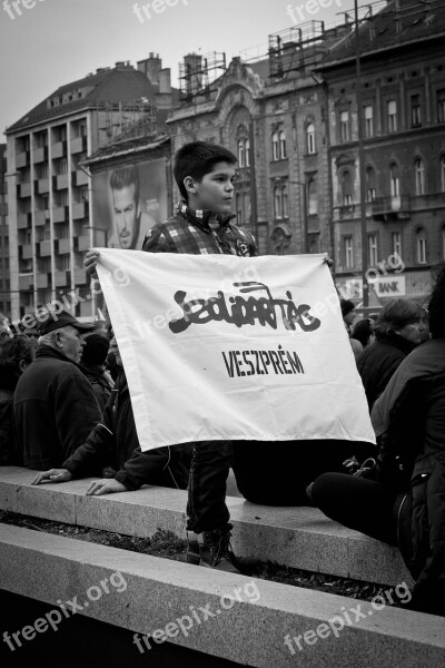 Budapest Hungary Demonstration Hungarian Magyar