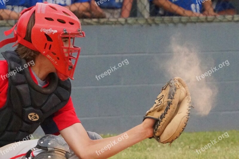 Baseball Catch Summer Play Free Photos