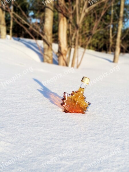 Maple Syrup Snow Free Photos