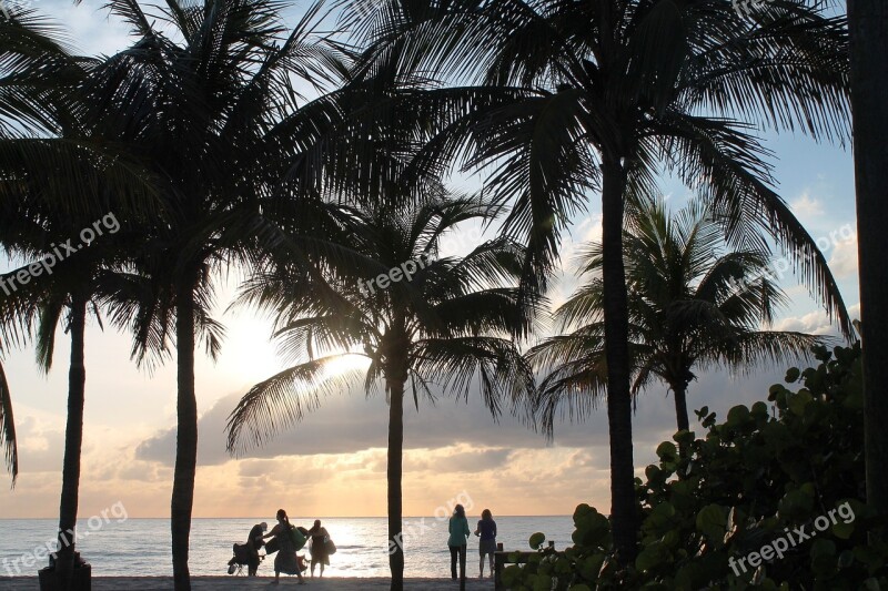 Beach Palms Tropical Travel Paradise