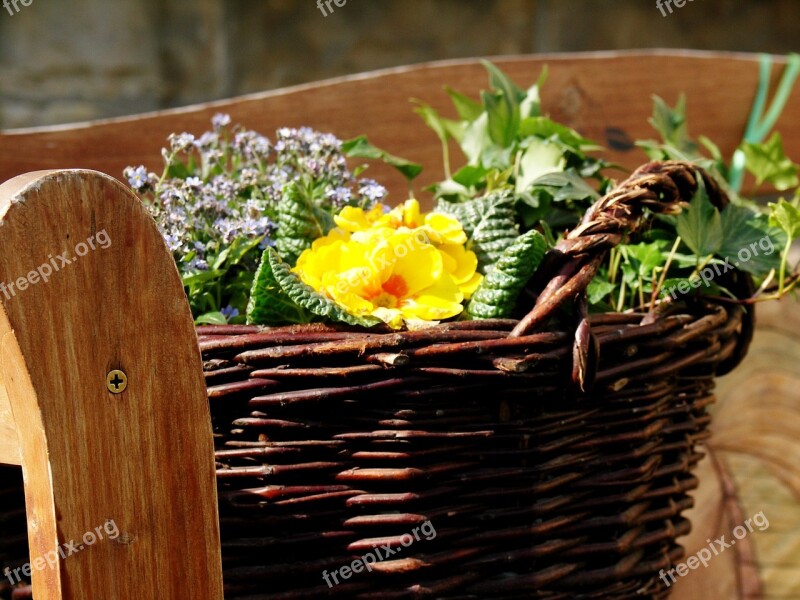 Forget Me Not Primrose Basket Garden Deco