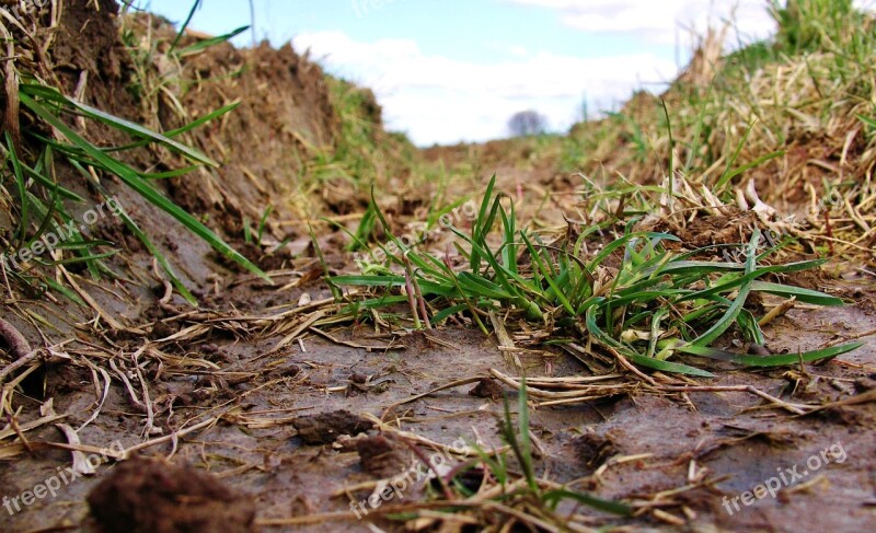 Lane Furrow Close Up Grass Free Photos