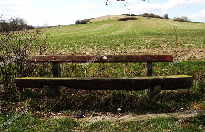 Bank Wooden Bench Bench Nature Out