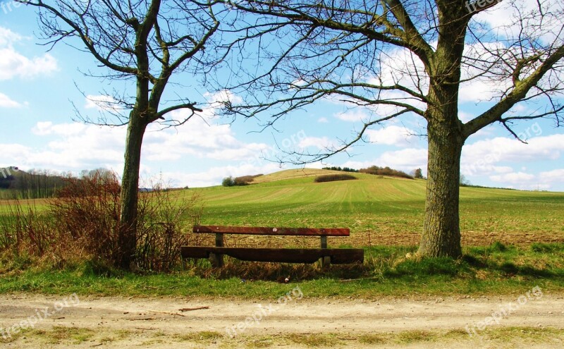 Bank Wooden Bench Bench Nature Out