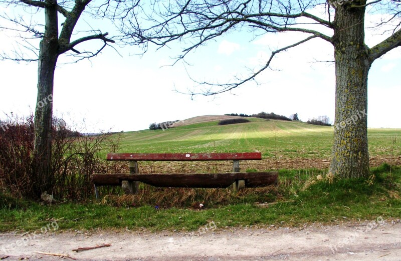 Bank Wooden Bench Bench Nature Out