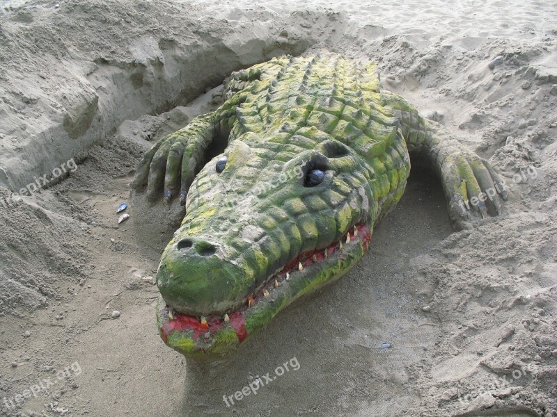 Crocodile Sand Sculpture Beach Free Photos