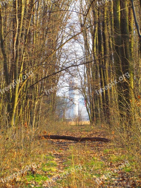 Spring Forest Tour Nature Deciduous