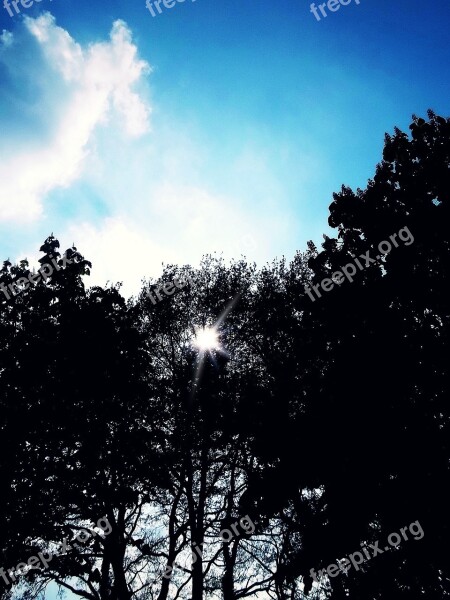 Sun Trees Silhouette Sky Clouds