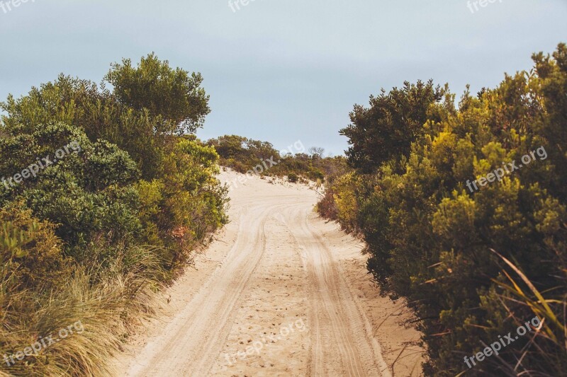 Dirt Road Road Journey Landscape Nature