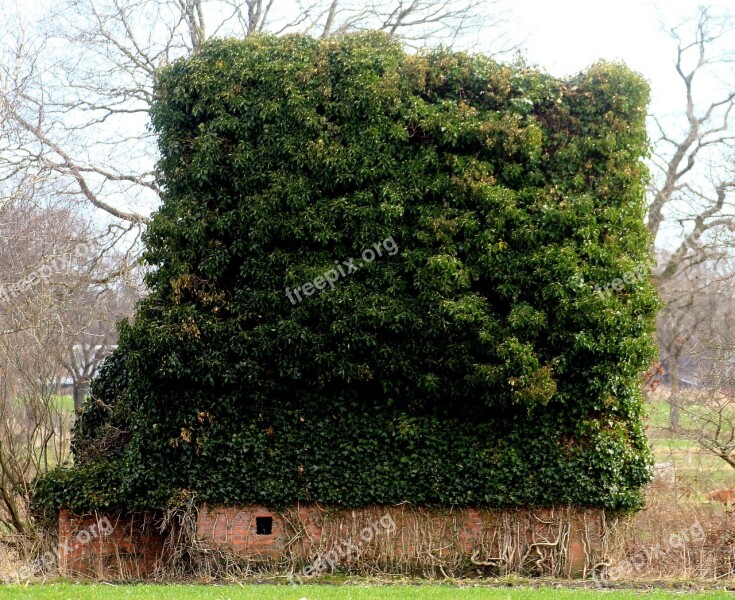 Overgrown Turfed Building Ingrowing Old