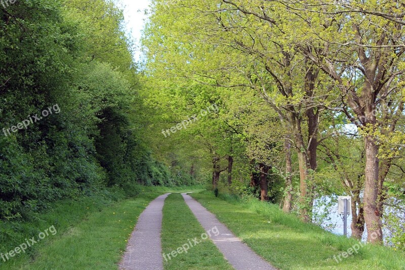 North America Trail Spring Away Nature