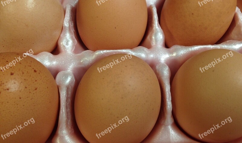 Eggs Brown Eggs Chicken Organic Shell