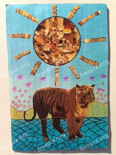 Art Money Tiger Collage Design Free Photos