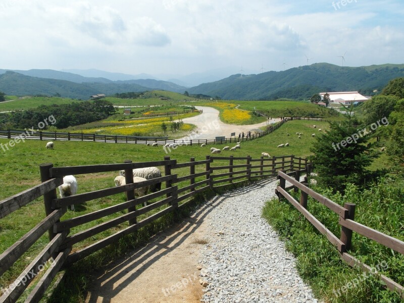 Ranch Landscape Republic Of Korea Country Road Outdoor