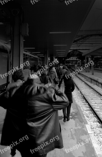 Station Railway Platform Arrival Free Photos