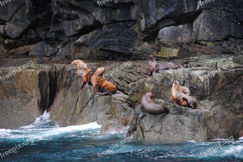 Alaska Nature Wilderness Free Photos