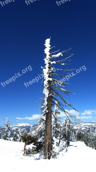 Snow Sierra Mountains California Ski