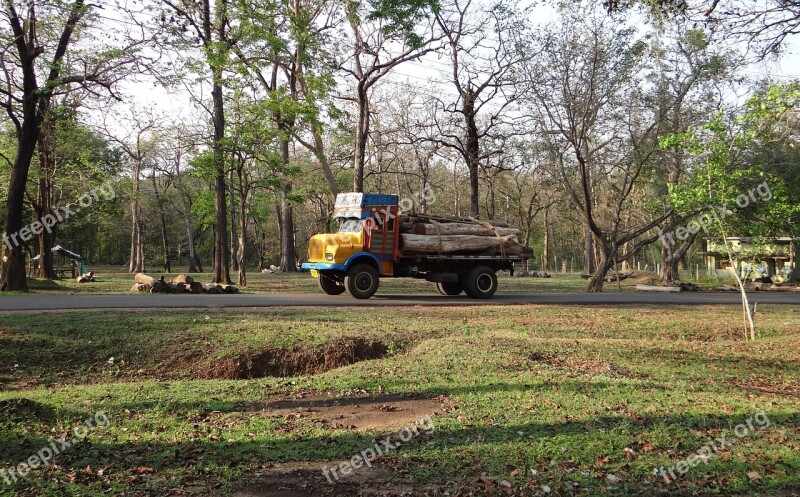 Timber Lorry Truck Transport Logs