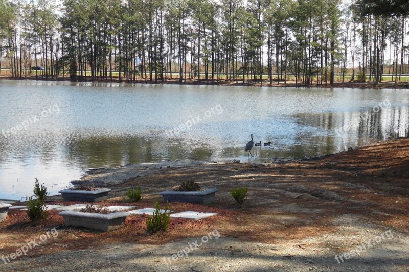 Pond Lake Water Nature Landscape