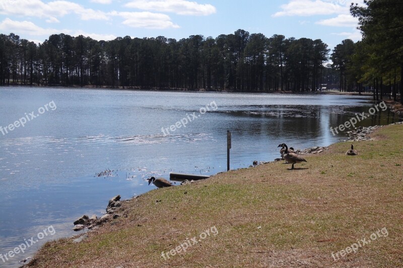 Pond Lake Water Nature Landscape