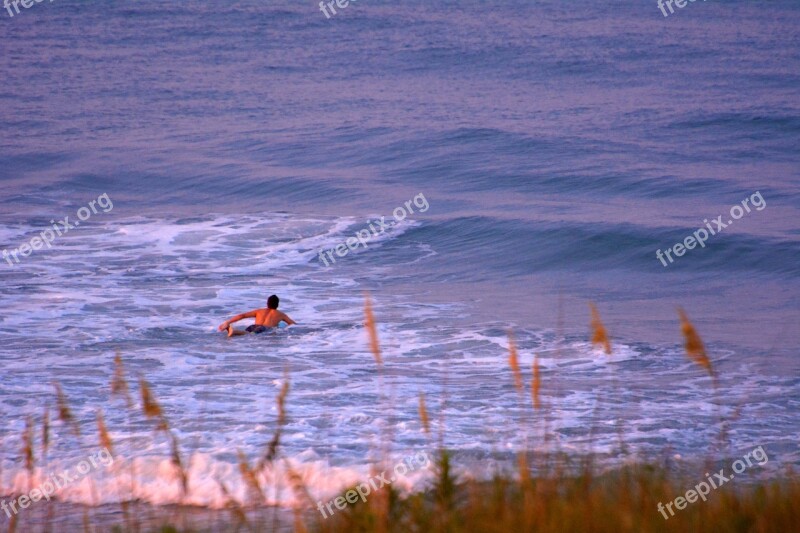 Surfing Ocean Waves Beach Sea