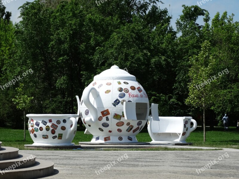 Tea Kettle Cup Park Bucharest