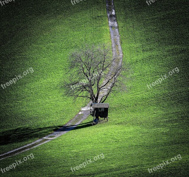 Landscape Meadow Away Tree Hut