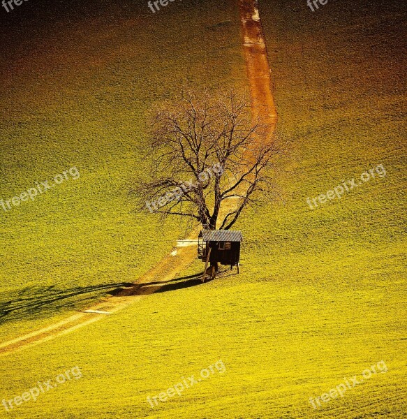 Landscape Away Tree Hut Meadow