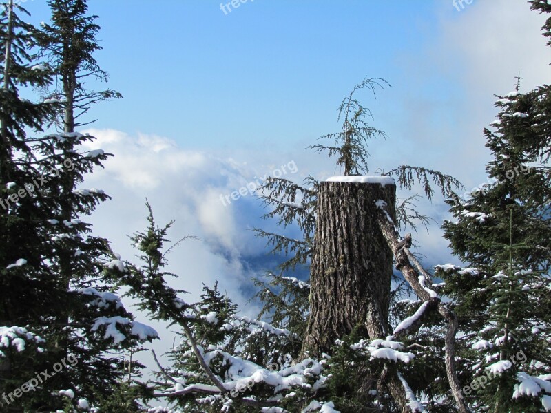 Grouse Mountain Canada Vancouver Snow Mountain