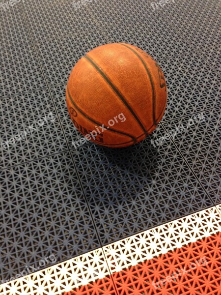 Basketball Sports Ball Recreation Play