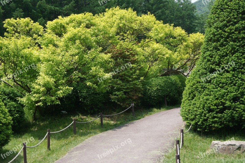 Wood A Flower Garden Plantation Arboretum Free Photos