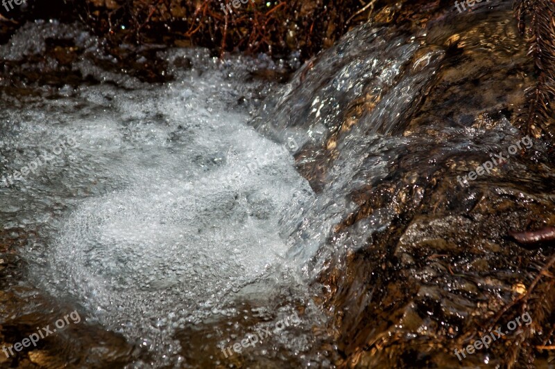 Water Source Nature Bubble Bach