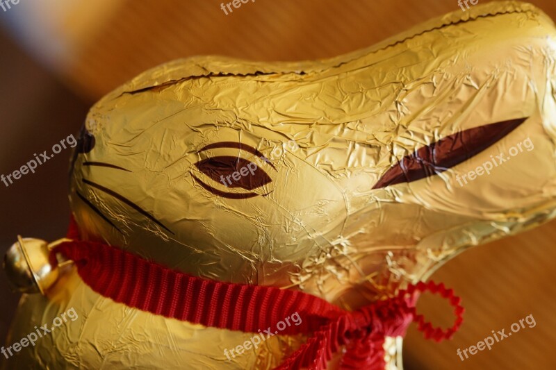 Easter Bunny Rabbit Gold Foil Golden Gold