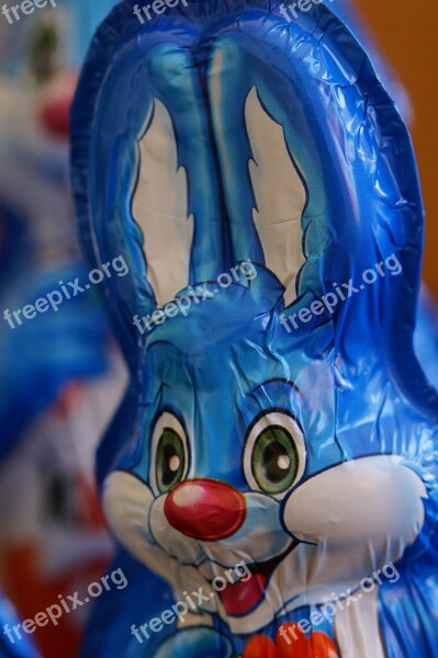 Easter Bunny Easter Happy Easter Easter Greeting Hare