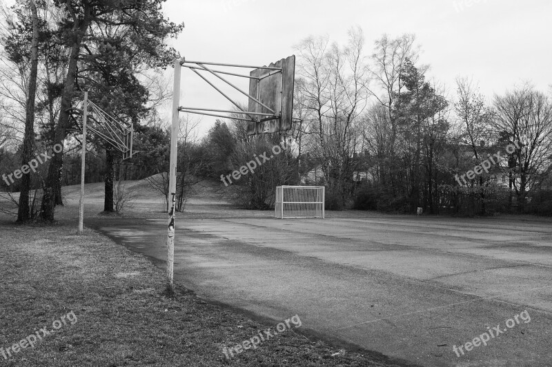 Landscape Black White Basketball Tree Free Photos