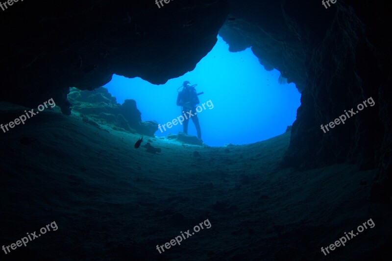 Underwater Diving Underwater World Divers Free Photos