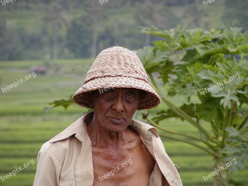 Bauer Poverty Old Man Paddy Asia