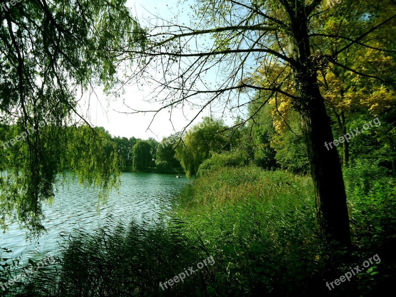 Seascape At The Lake Steinseeidylle Landscape Fish Pond